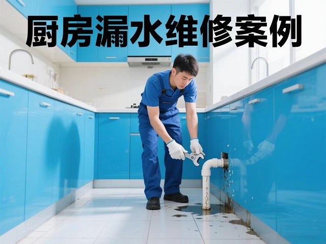 淋浴间漏水专利技术维修案例